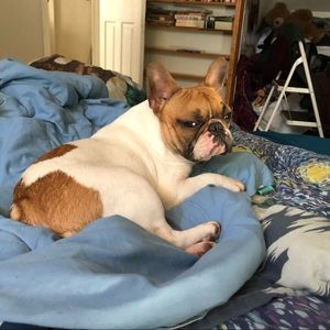 Meet your Posher, Charlie